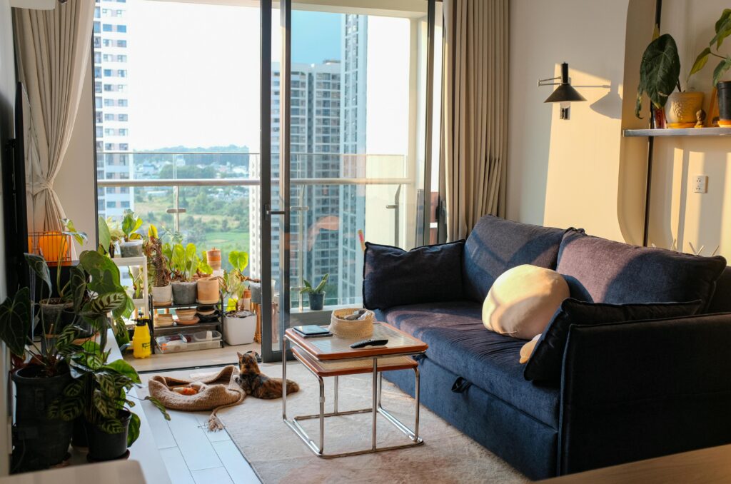 A sunlit living room with plants and cats, offering a cozy and inviting atmosphere.