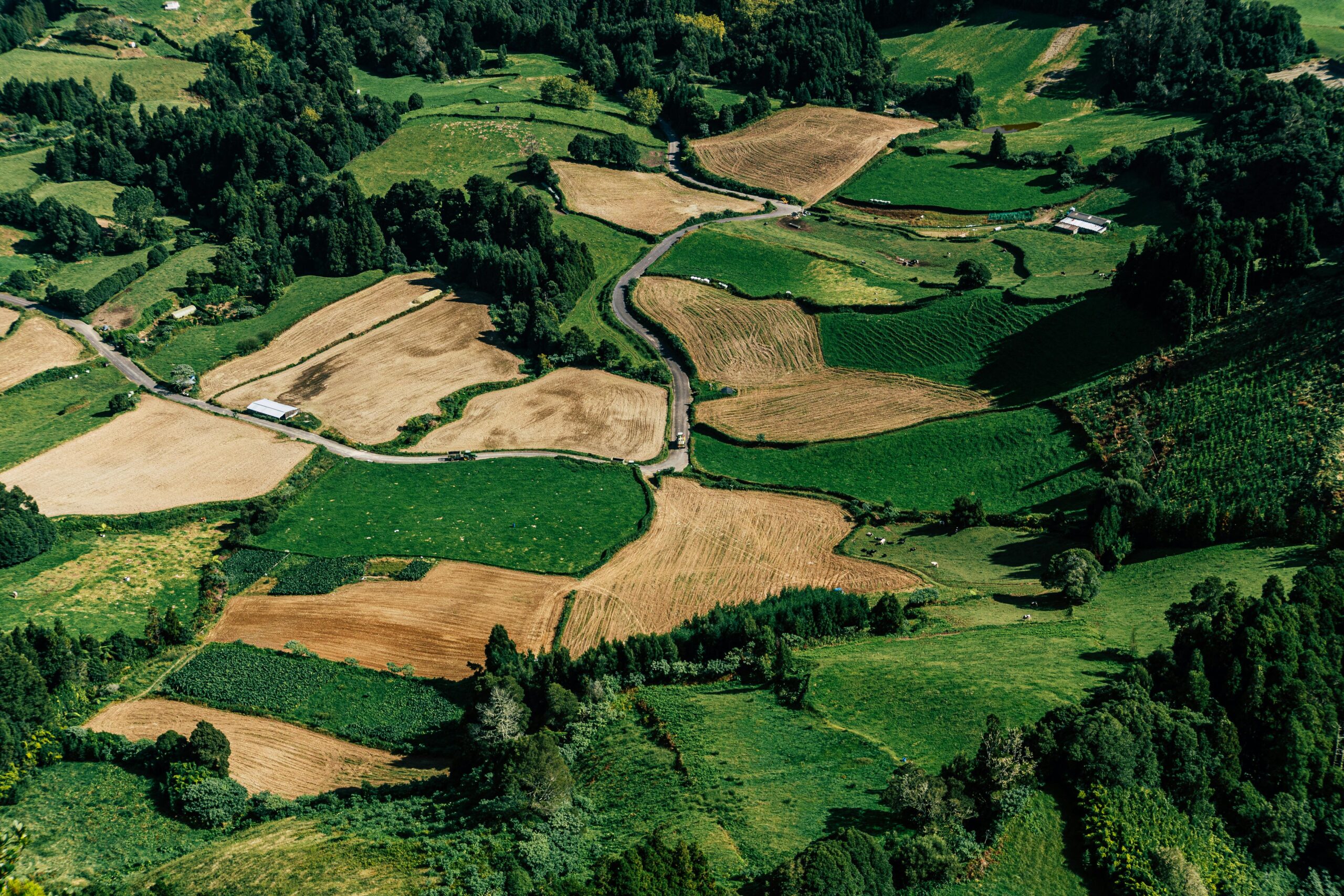 Stunning aerial view of diverse agricultural fields with green and brown patches, illustrating rural land patterns.